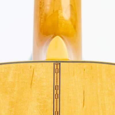 Daion MUGEN Mark III - Maple Series - Six String Acoustic image 8
