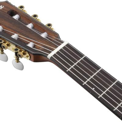 Ibanez FRH10NBSF, Thinline Nylon Acoustic Electric Guitar - Brown Sunburst image 9
