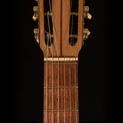 Del Vecchio Dinamico Resonator Electric 1960s - Natural image 6