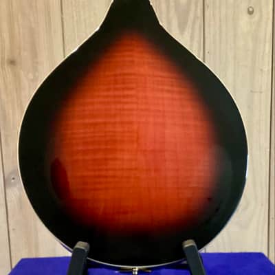 Michael Kelly MK-AO Oval-Hole A-Style Mandolin — Recent Luthier Setup image 7