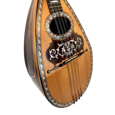 Stridente Neapolitan Mandolin Decorated Curved Ribs 1900's image 4