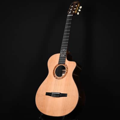 Taylor Jason Mraz Signature Model (JMSM) Nylon w/ Western Red Cedar Top & Indian Rosewood Back and Sides Acoustic-Electric Guitar 2026 (1201146085) image 9