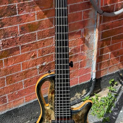 Mayones Caledonius 5 string Bass 2024 - stunning boutique bass & 1 of the coolest designs ever ! image 9