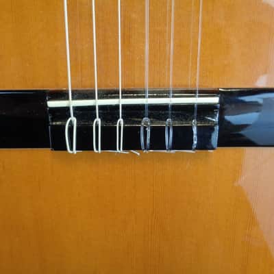 Raimundo MOD 112 image 6