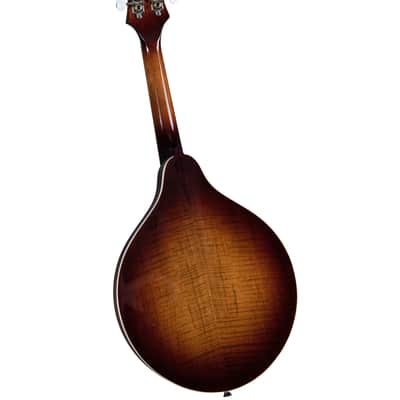 Rover RM-80S Deluxe A-Model Mandolin – Solid Top – Burgundy Burst image 2