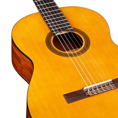 Cordoba Protege C1 Nylon Guitar image 4