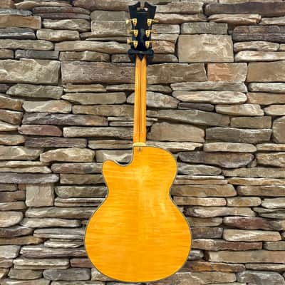 D'Angelico Excel EX-DH Hollow Body w/ Hardshell Case image 7