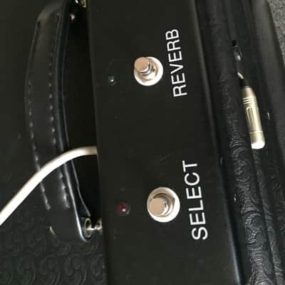 Bogner Shiva 20th Anniversary 1x12 Combo with REVERB image 6