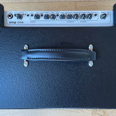 AER Amp One image 3