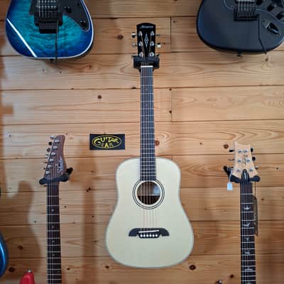 ALVAREZ RT26 Regent – 3/4 Mini Dreadnought Acoustic Guitar image 1