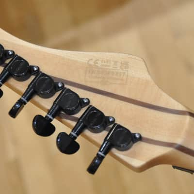 SCHECTER Reaper 6 FR Satin Charcoal Burst  / Reaper-6 Floyd Rose / IW24080217 image 13