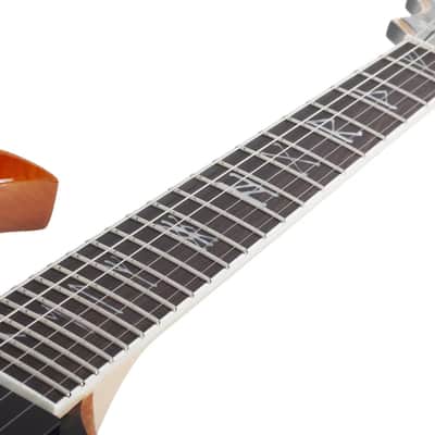 Wylde Audio Wrathmaker Tortoise Shell Corridors image 13