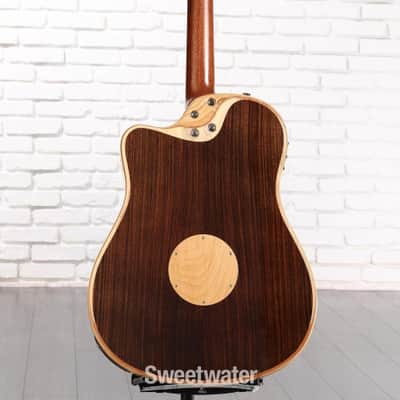 LR Baggs AEG-1 Acoustic-electric Guitar - Torrefied Spruce Top (AEG1Trfd1) image 2