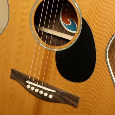Eastman PCH2-OM image 8