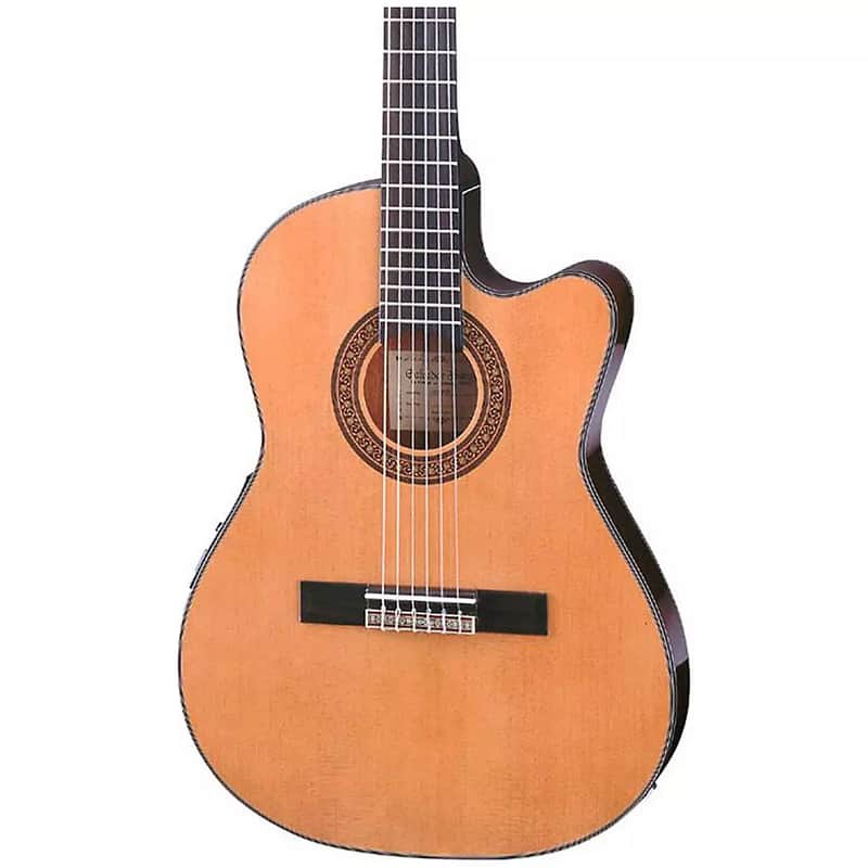 Ibanez GA5TCE Classic Acoustic/Electric Guitar image 2