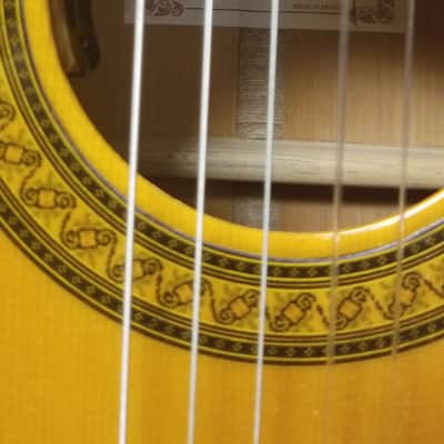 Francisco Navarro Flamenco image 1