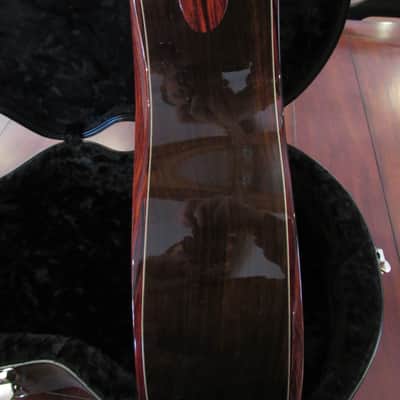 Wilborn MD Bucephalus Warhorse *Adirondack/Brazilian* One of a kind* VIDEO* image 4