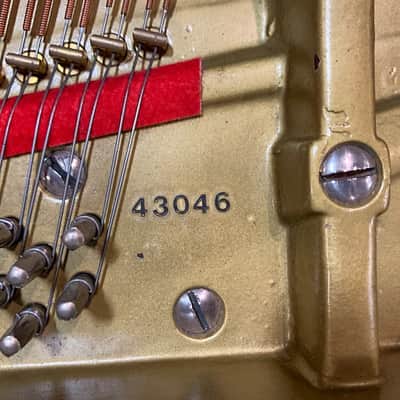 Charles Stieff 6'2" Satin Mahogany Grand Piano c1928 #43046 image 11