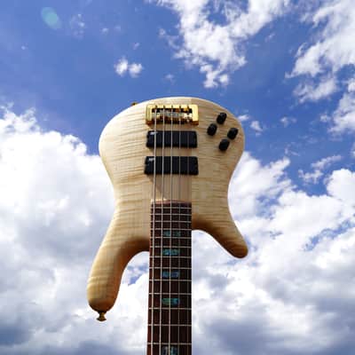 Spector USA NS-5XL - Curly/Flame Solid Wings Oil Finish Left-Handed 5-String Bass Guitar w/ Black Tolex Case (2023) image 2