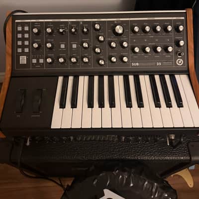 Immagine Moog Subsequent 25 - 4