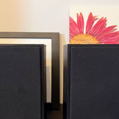 Klipsch Klipsch R-41M Bookshelf Home Speakers image 1