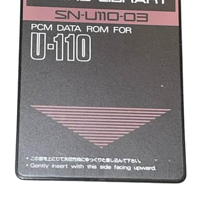 Roland SN-U110-03