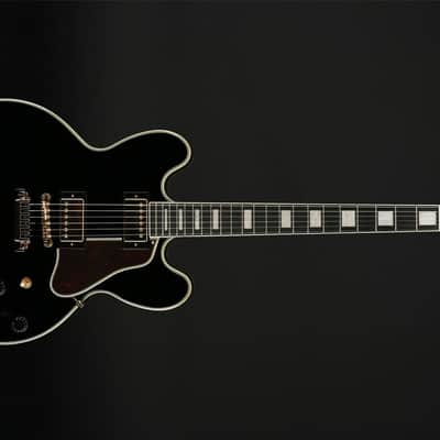 Epiphone B.B. King Lucille in Ebony with EpiLite Case image 4