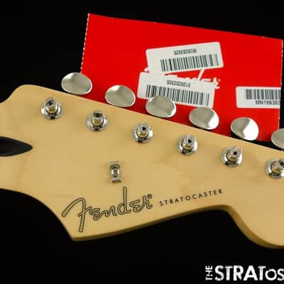 Fender Jimmie Vaughan Stratocaster Strat NECK + TUNERS Maple