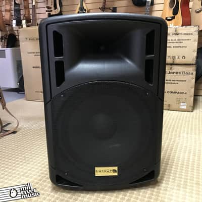 Edison Powered 15" PA Speaker / Monitor image 1