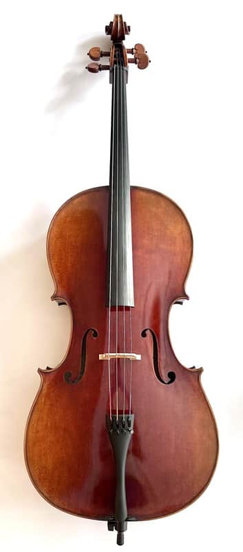 Sandro Luciano Los Angeles, California 4/4 Cello image 1