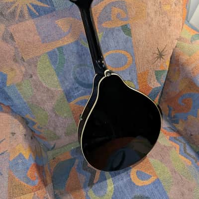 Eleca EMA-1 Mandolin...w/ New Gig Bag and Accessories image 15