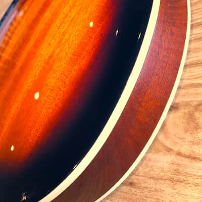 Mandolin 8 String Stunning Vintage Sunburst by Samick Greg Bennett WITH Pickup! image 16