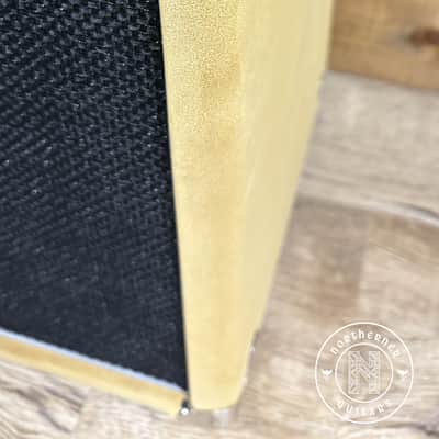 Amplified Nation Ampliphonix and Gain 1x12 Combo 2026 Buckskin Suede image 5
