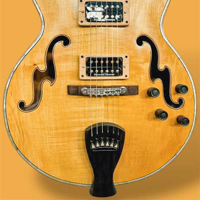 Blueberry Handmade Hollow Body Electric Guitar Rapunzel Motif image 1