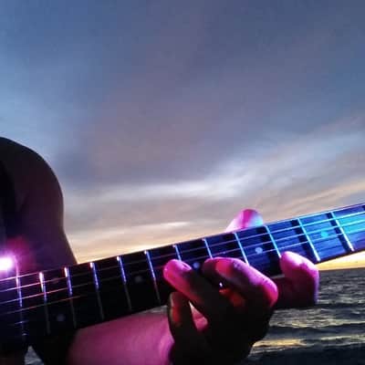 FRETLORD SPECTRUS GUITAR LED FRET BOARD SPOT LIGHT image 4
