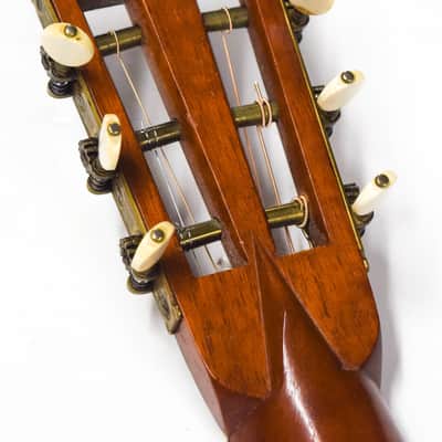 Martin  Style 21  1883-1889 image 8