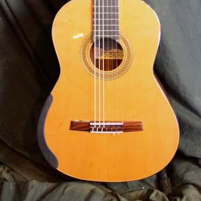 William Falkiner Lutherie 1a 2023 - natural image 8