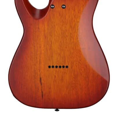 Schecter Sun Valley Super Shredder Exotic HT Guitar Ziricote image 6