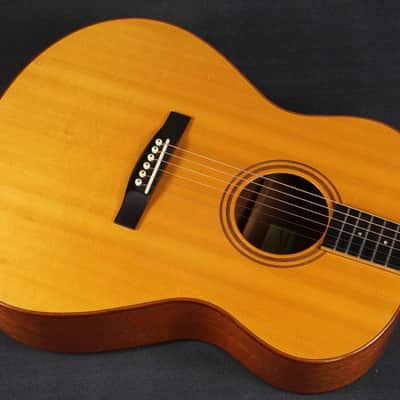 Thompson TM-1 1996 - Natural image 11