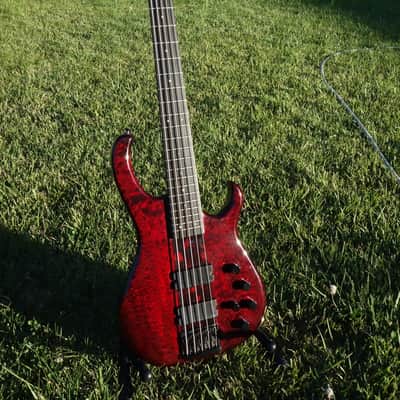 Modulus TBX Quantum 5 image 9