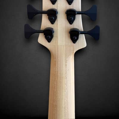 Elrick EVO Gold 6 String Buckeye 2024 - Natural image 10