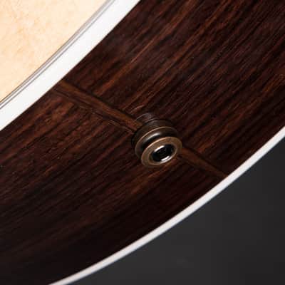 Taylor Legacy 855e image 19