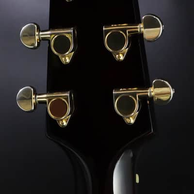 Aria Custom Shop NXP-03 エレアコ Aria NXP-03 - Free Shipping* | Reverb