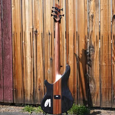 Schecter DIAMOND SERIES Charles Berthoud CB-5 See Thru Black Satin 5-String Electric Bass Guitar (2025) image 3