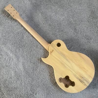 Harley Benton Single Cut Electric Guitar DIY Kit Project image 4