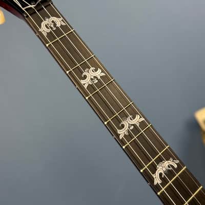 Custom Deering Eagle II 19-Fret Tenor Openback Banjo image 12