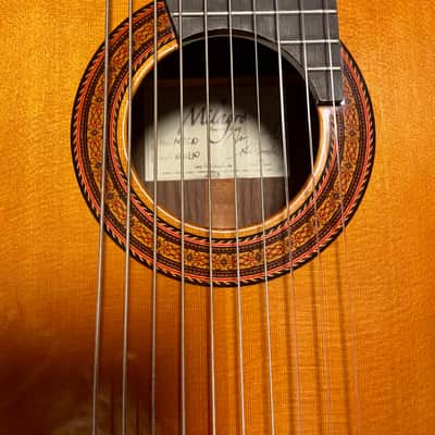 Milagro MRC10 10-String Classical Guitar + Ameritage Custom Built Case image 8
