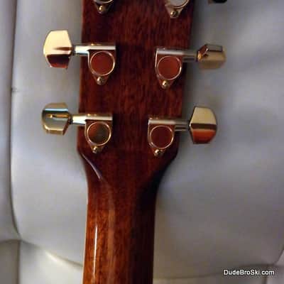 Fender CD320ASCE - Solid Spruce Top & Solid Mahogany Bk & Sides, w/Fishman Electronics image 6