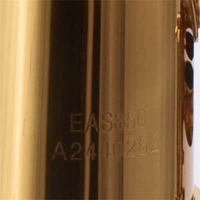 Eastman EAS850 'Rue Saint-Georges' Professional Alto Saxophone SN A2440262 image 22