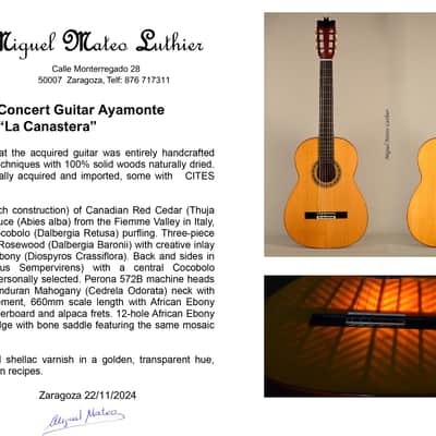 Flamenco Concert Guitar Ayamonte Model "La Canastera" - "The Basket Maker" image 22